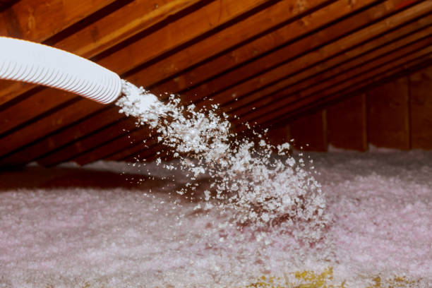 Best Insulation Installation Services in Elton, LA