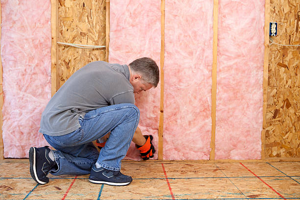 Best Energy Efficiency Solutions in Elton, LA